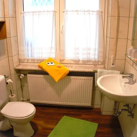 Zum Loewen Guest house *